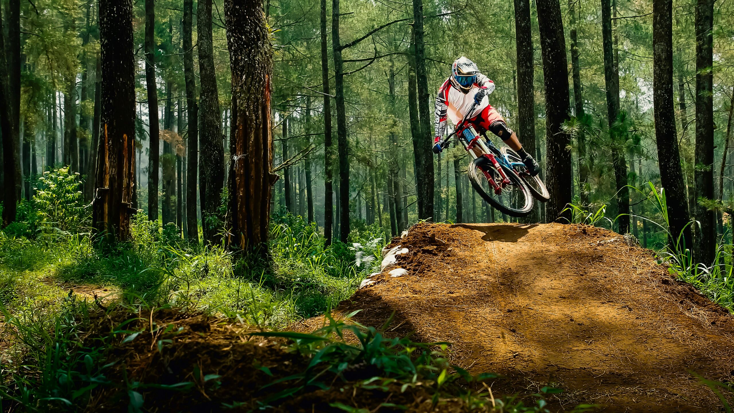downhill mountain biking