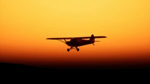 History of Flight and Simulation From Early Dreams to Modern Skies