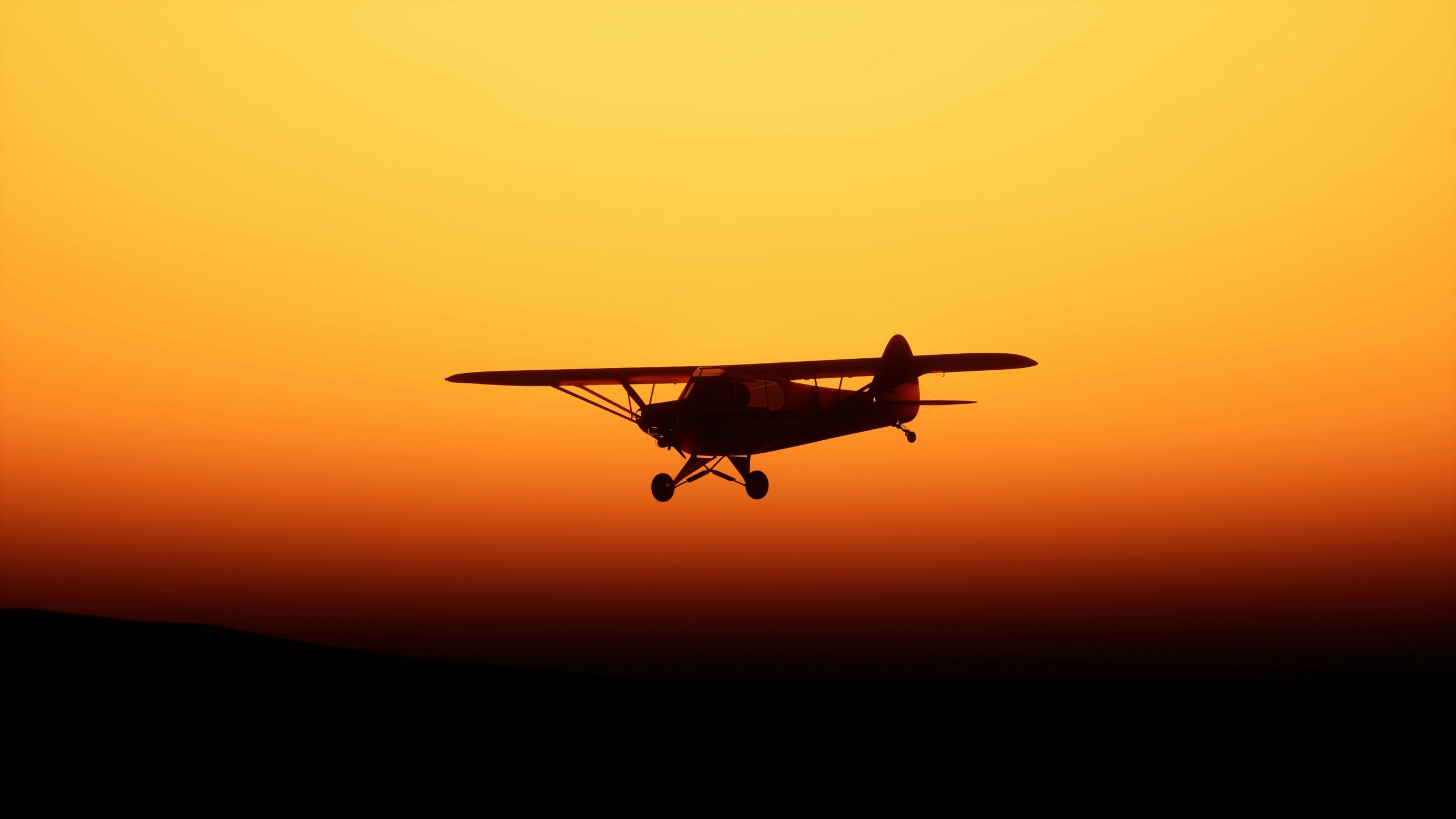 History of Flight and Simulation From Early Dreams to Modern Skies